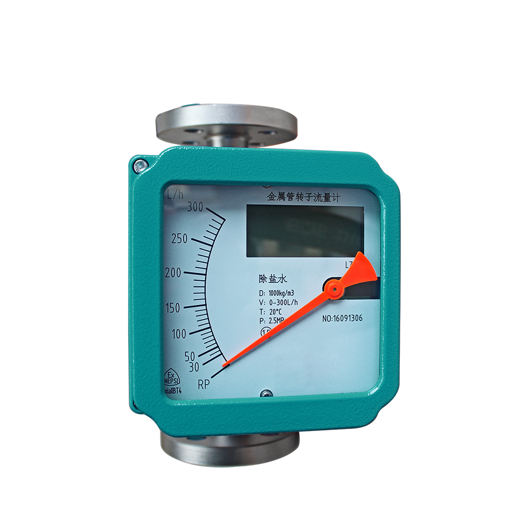 DN20 float flowmeter