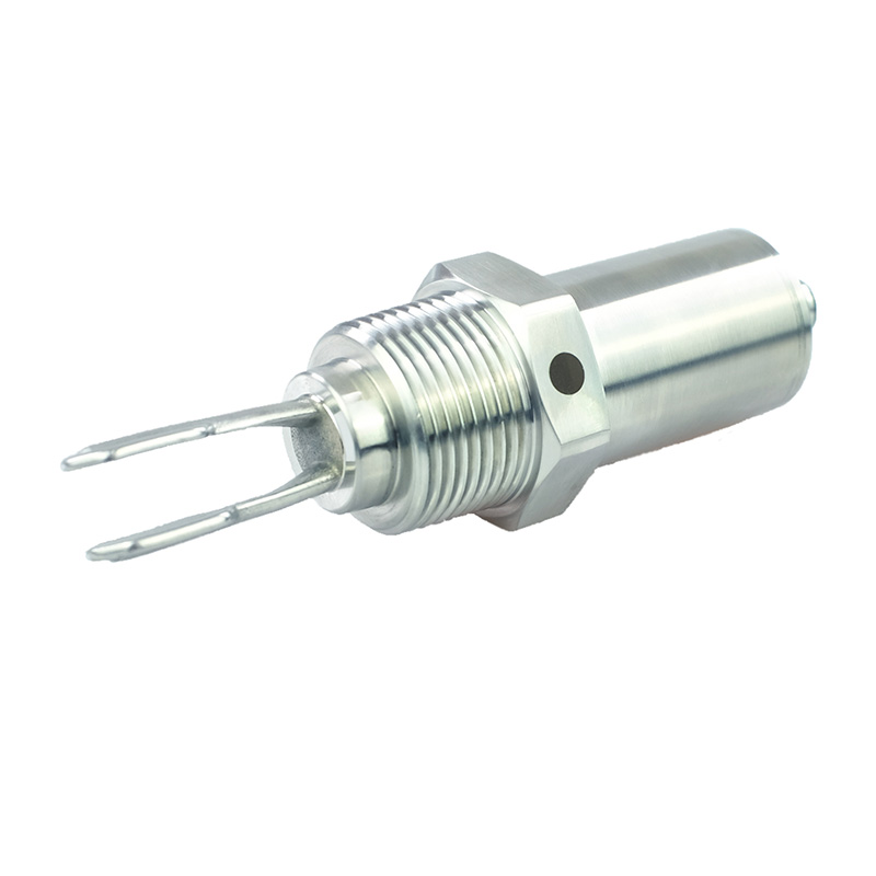 Tuning fork level/level switch